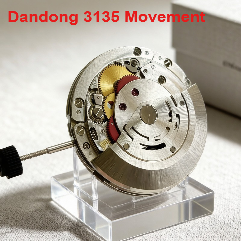 Dandong Super 3135 Automatik-U – Watch Winder Compact Bewertung und Preis